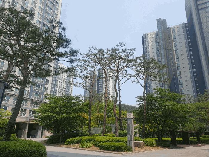 2025타경56005 경매 물건 대표 사진