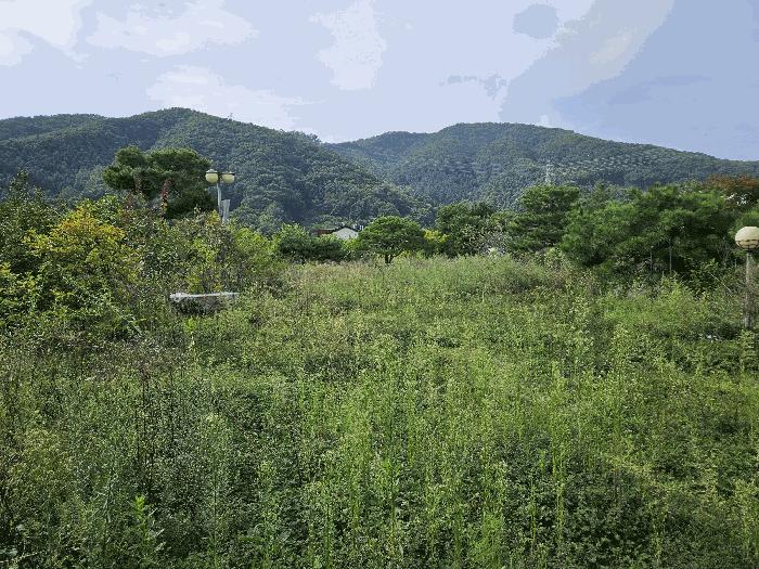 2024타경56622 경매 물건 대표 사진