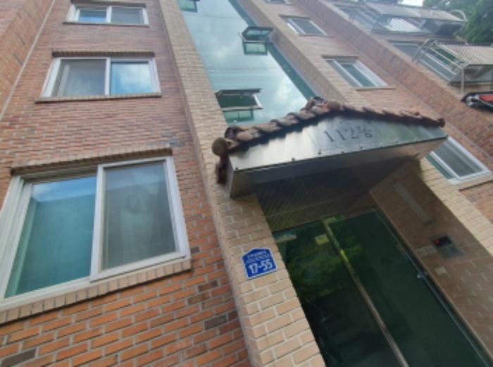 2024타경59096 경매 물건 대표 사진