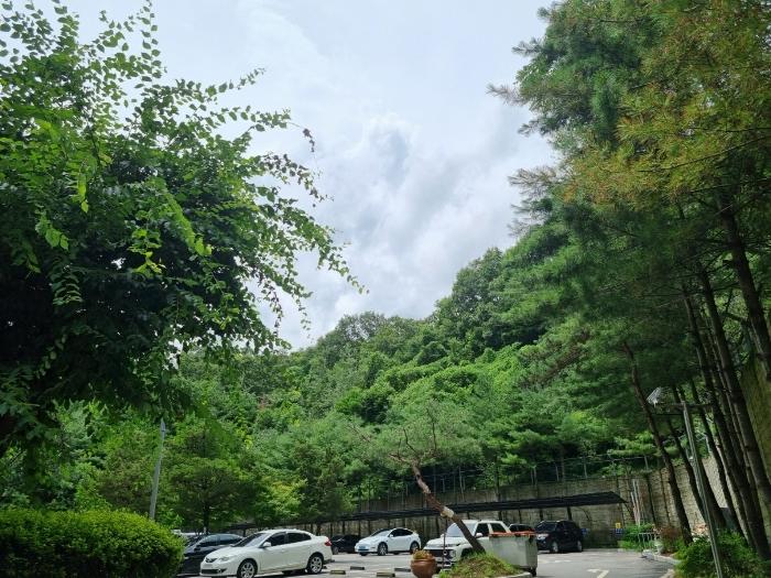2024타경62696 경매 물건 대표 사진