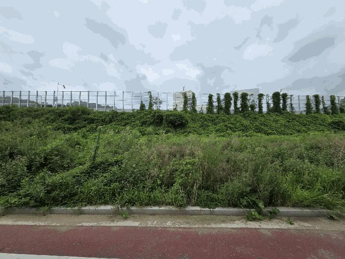 2025타경52727 경매 물건 대표 사진