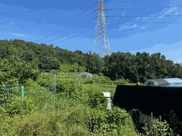 2025타경52749 경매 물건 대표 사진