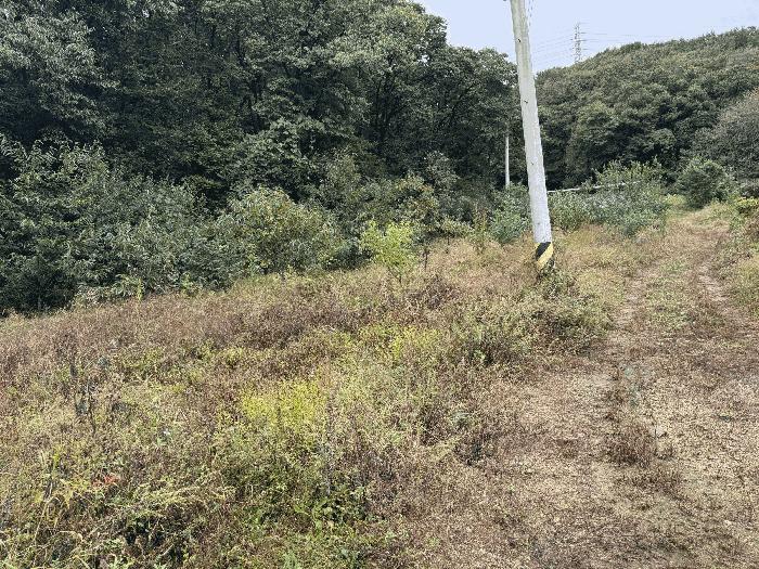 2025타경53115 경매 물건 대표 사진