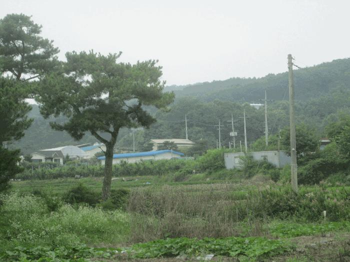 2023타경2393 경매 물건 대표 사진