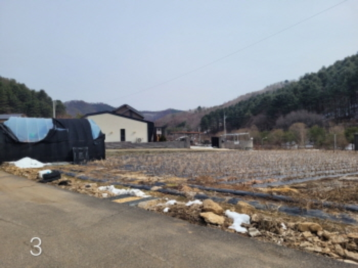 2024타경226 여주지원 단독주택다가구 법원경매 사진