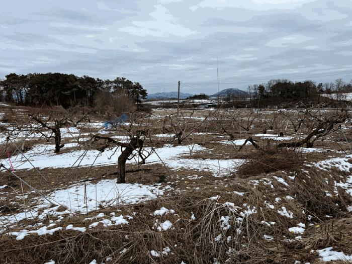 2024타경3065 경매 물건 대표 사진
