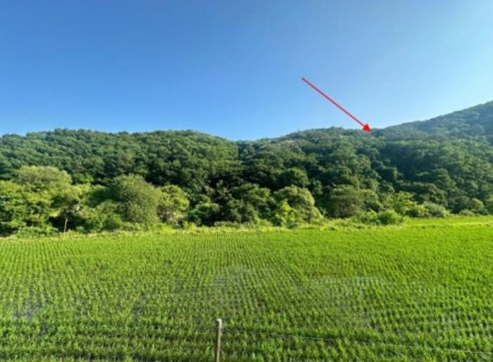 2024타경35277 경매 물건 대표 사진