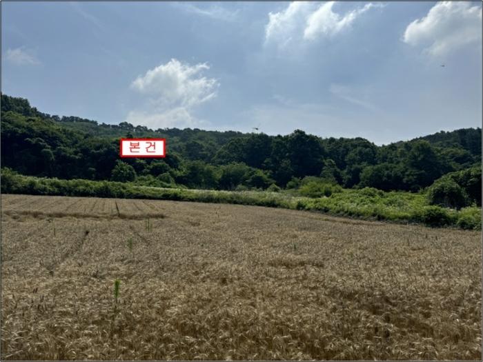 2024타경36188 경매 물건 대표 사진