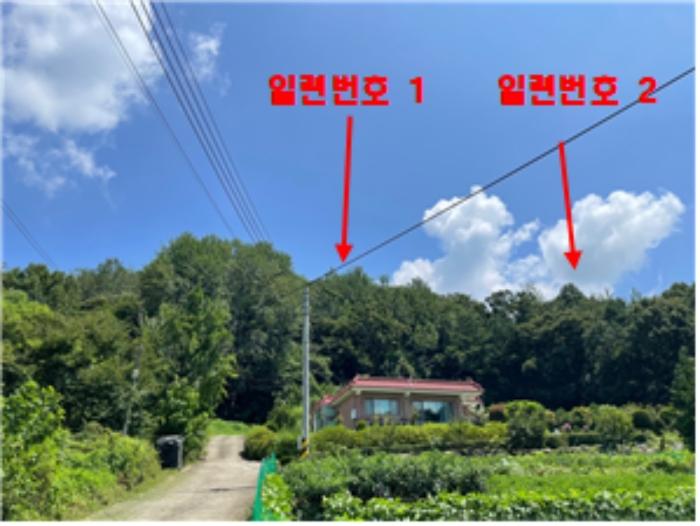 2024타경37754 여주지원 임야 법원경매 사진