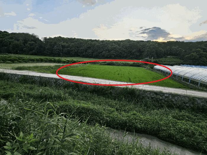 2024타경3874 경매 물건 대표 사진