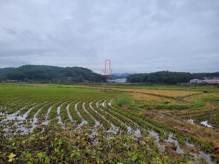 2024타경52534 경매 물건 대표 사진