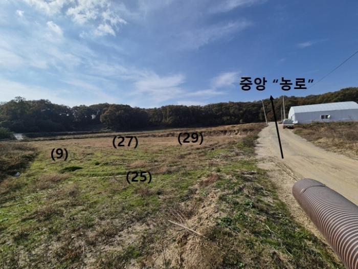2024타경52817 경매 물건 대표 사진