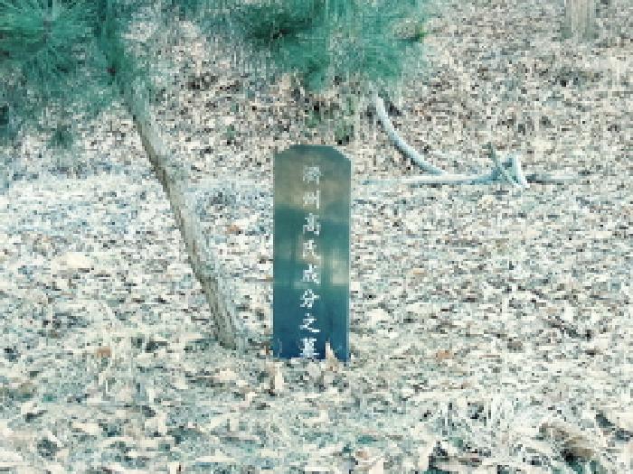 2025타경40392 경매 물건 대표 사진