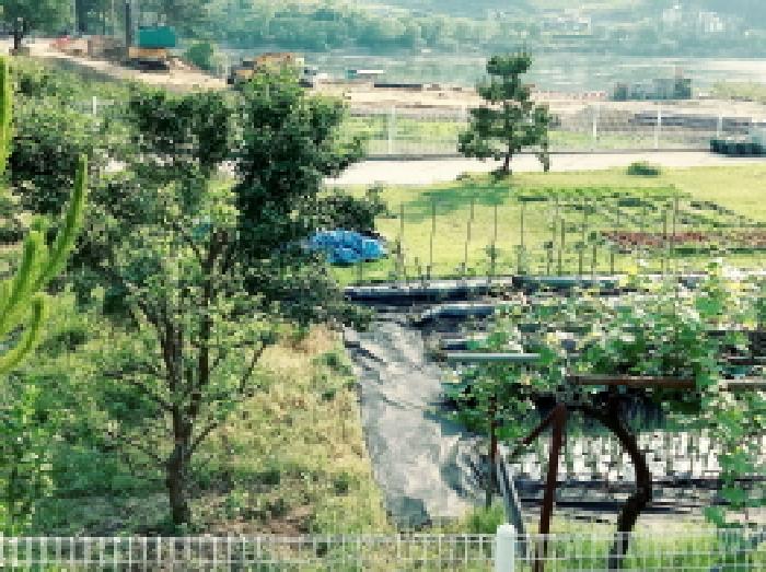 2025타경41847 경매 물건 대표 사진