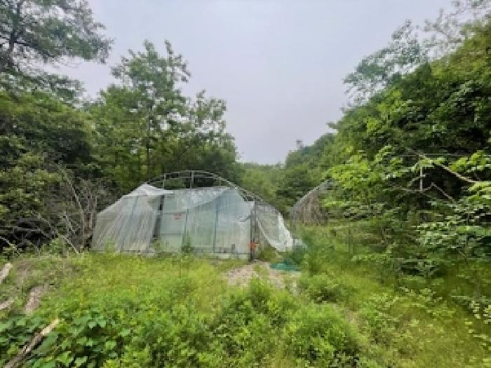 2025타경41871 경매 물건 대표 사진