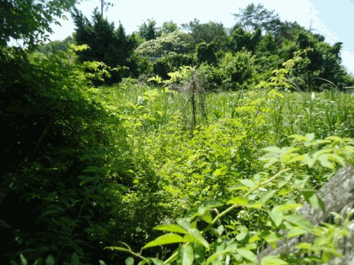 2025타경42005 경매 물건 대표 사진