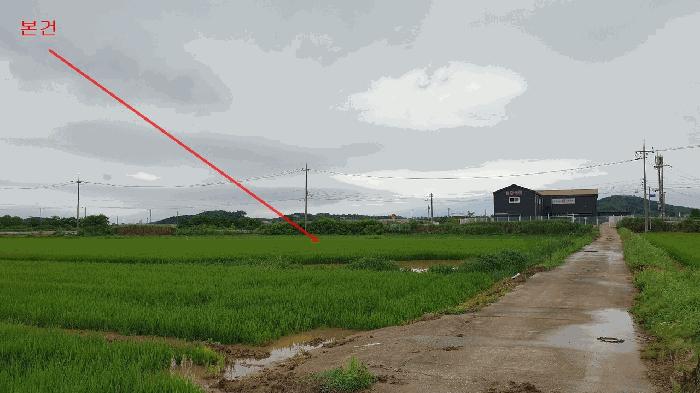 2025타경42196 경매 물건 대표 사진