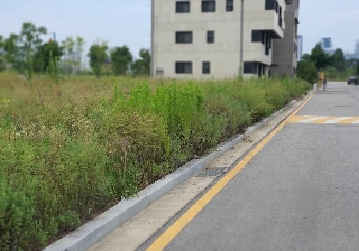 2025타경42271 경매 물건 대표 사진