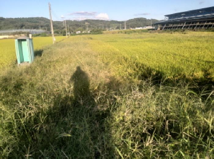 2025타경42523 경매 물건 대표 사진
