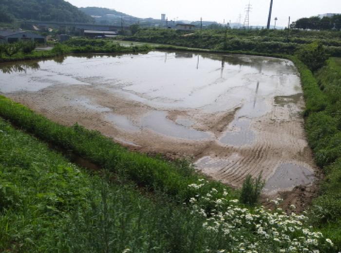2025타경665 경매 물건 대표 사진