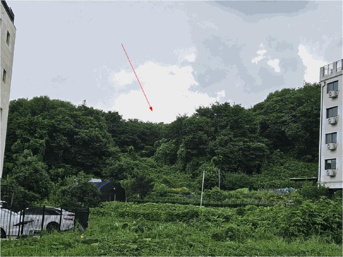2024타경1508 안양지원 임야 법원경매 사진