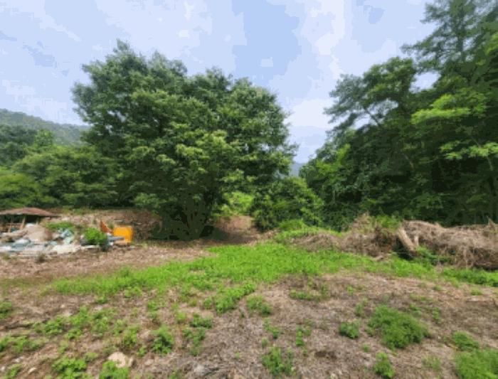 2023타경54067 경매 물건 대표 사진
