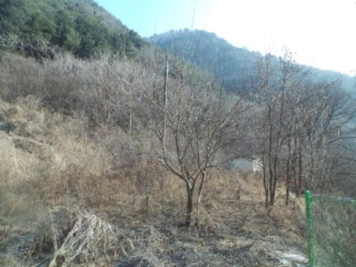 2024타경50222 경매 물건 대표 사진