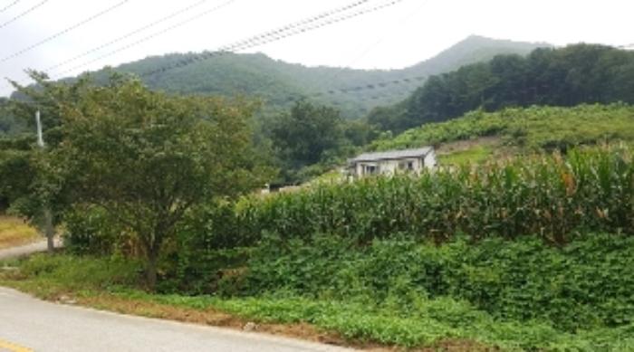 2024타경51904 경매 물건 대표 사진