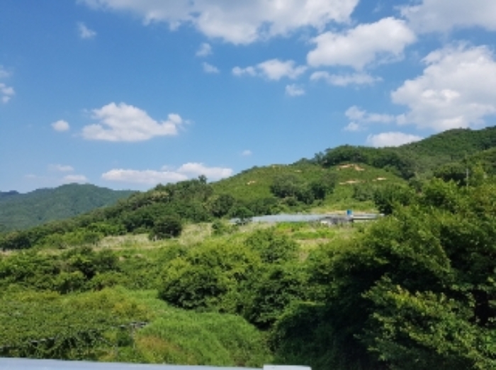 2024타경51904 춘천지방법원 임야 법원경매 사진