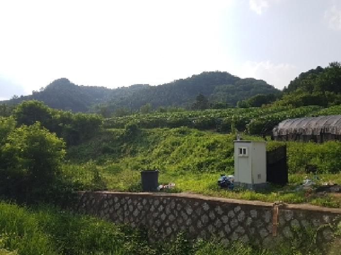 2025타경1210 춘천지방법원 전답 법원경매 사진