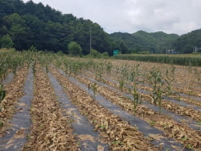 2025타경1548 경매 물건 대표 사진