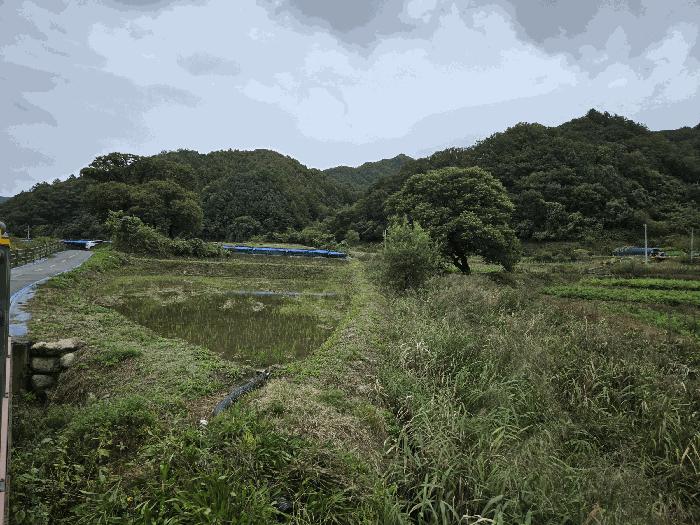 2025타경1883 춘천지방법원 전 법원경매 사진