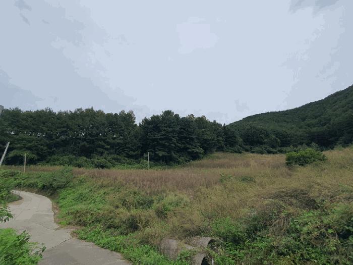 2025타경2152 춘천지방법원 전답 법원경매 사진