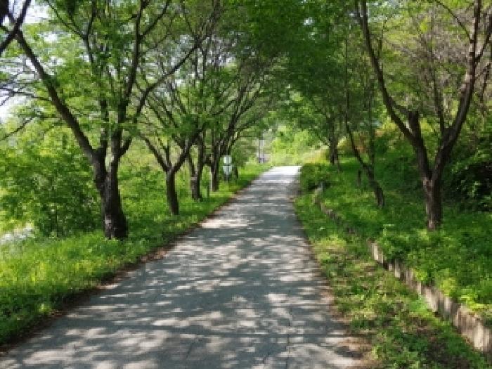 2025타경50515 경매 물건 대표 사진