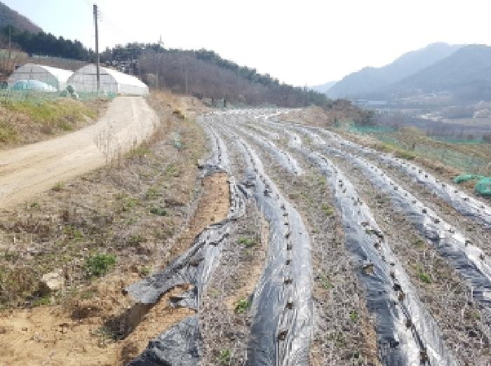 2025타경50602 춘천지방법원 전답 법원경매 사진