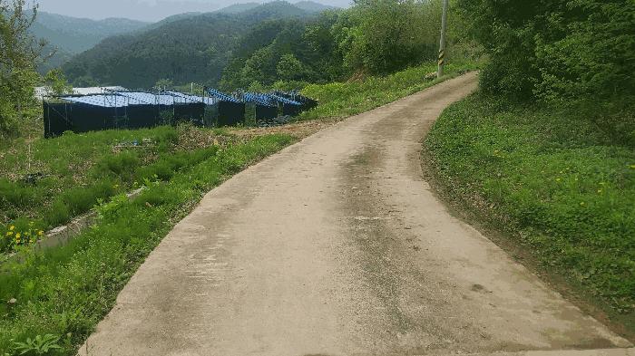 2025타경50659 경매 물건 대표 사진