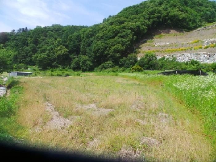 2025타경50697 경매 물건 대표 사진