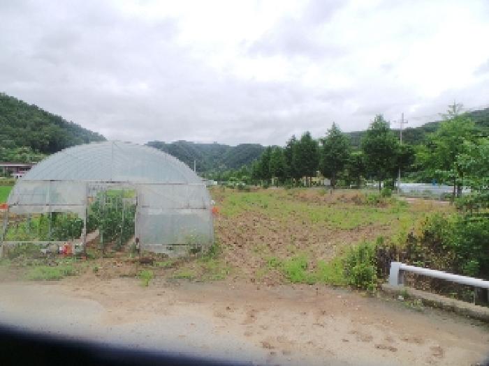 2025타경50705 춘천지방법원 전답 법원경매 사진