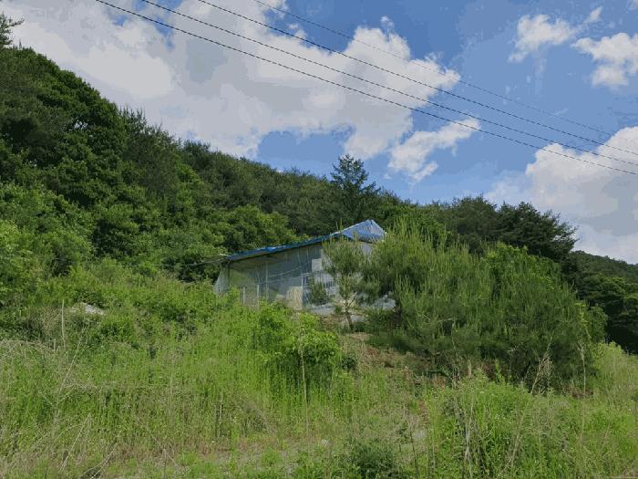 2025타경50708 경매 물건 대표 사진