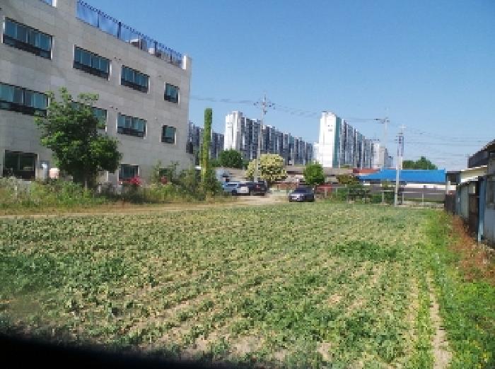 2025타경50724 춘천지방법원 대지 법원경매 사진