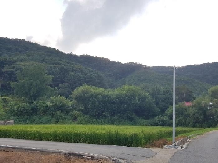 2025타경50833 경매 물건 대표 사진