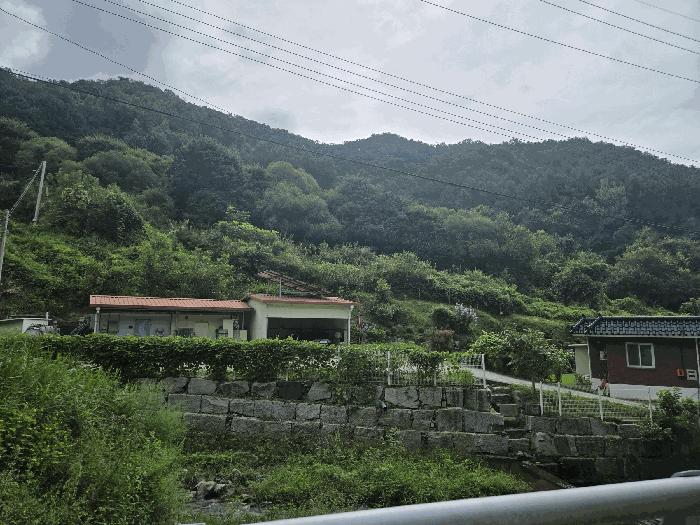 2025타경50866 춘천지방법원 전답 법원경매 사진