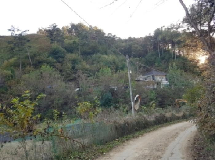 2025타경50874 경매 물건 대표 사진