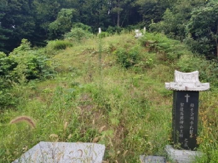 2025타경50878 경매 물건 대표 사진