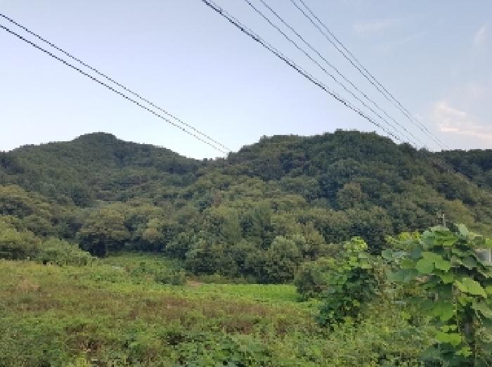 2025타경50888 춘천지방법원 임야 법원경매 사진