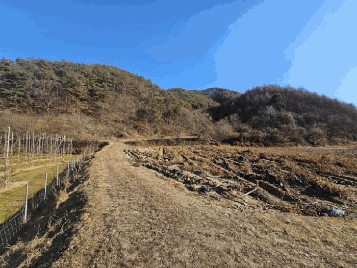 2025타경50954 경매 물건 대표 사진