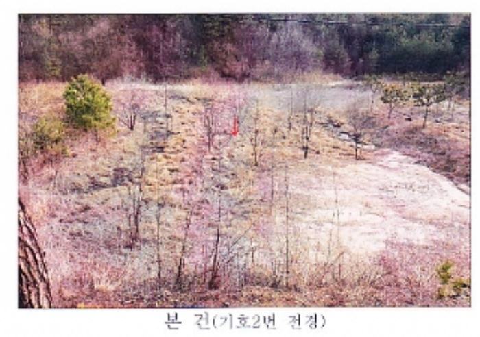 2021타경30541 강릉지원 전답 법원경매 사진