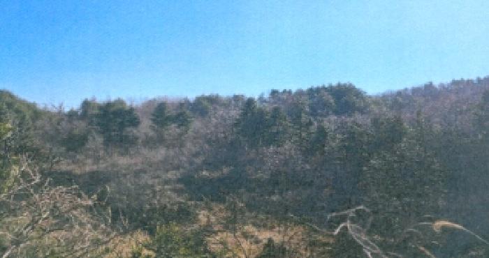 2025타경176 경매 물건 대표 사진