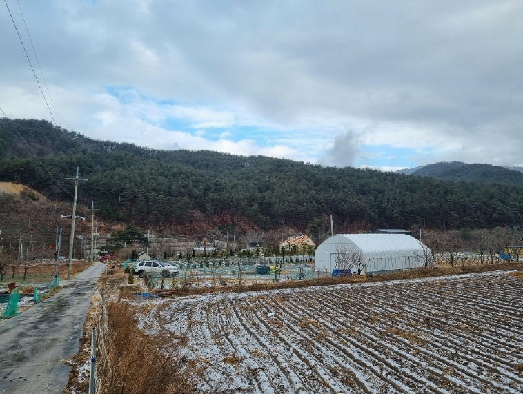 2025타경30105 경매 물건 대표 사진