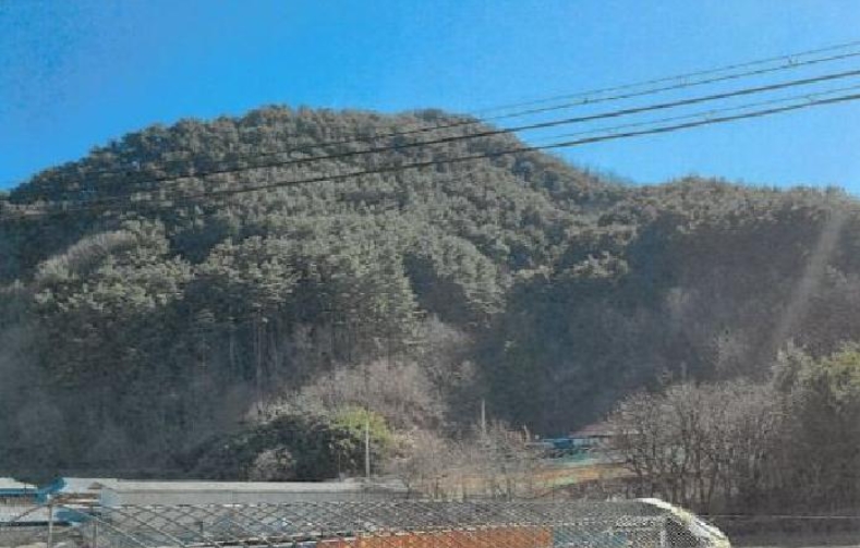 2025타경30444 경매 물건 대표 사진